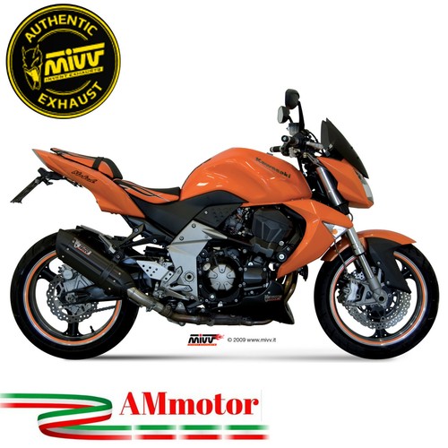 Mivv kawasaki 1000 2009 pot - z,